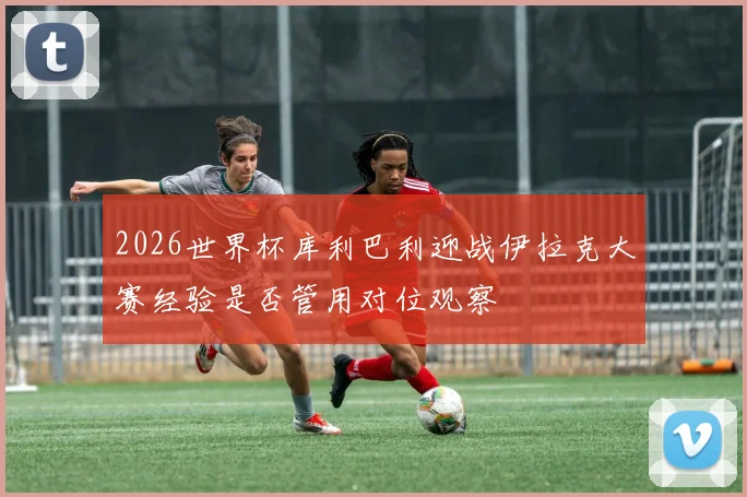 2026世界杯库利巴利迎战伊拉克大赛经验是否管用对位观察