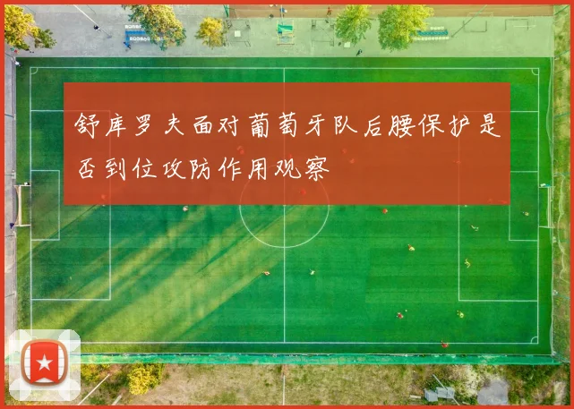 舒库罗夫面对葡萄牙队后腰保护是否到位攻防作用观察